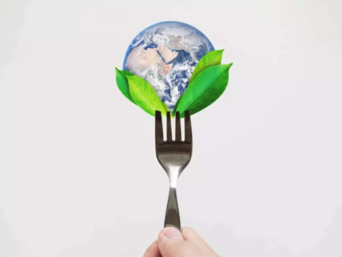 Sustainability Sparks Culinary Innovation: Food and Recipe Development Embrace Eco-Friendly Practices