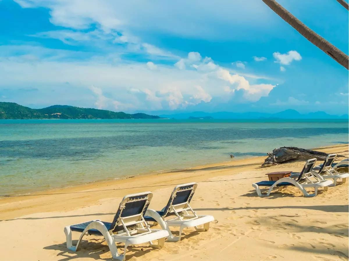 Explore Paradise: Top Beaches of Andaman and Nicobar Islands Await Adventure Seekers